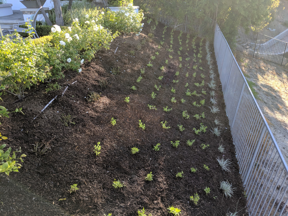 Modern/Traditional Home in Laguna Hills - Image 6