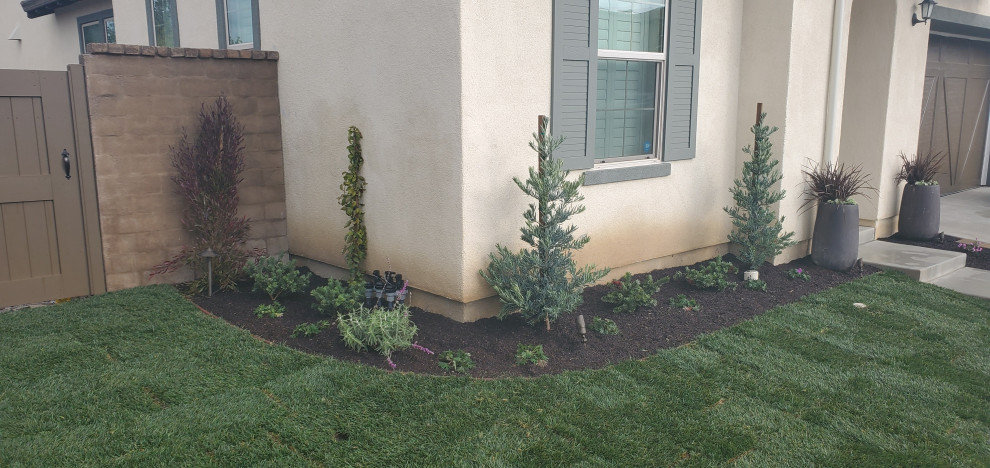 Rancho Mission Viejo Front Yard - Image 4