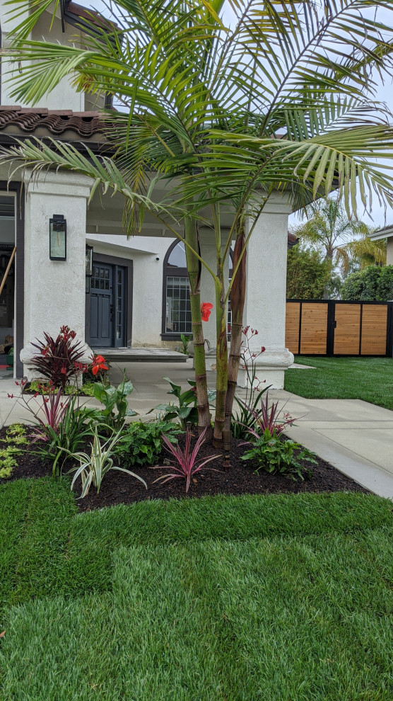 Spanish House with Modern Touch - Image 4